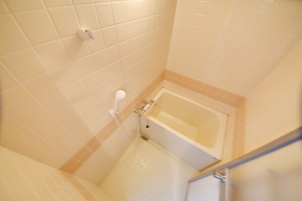 シャトー上清戸の物件内観写真